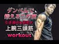 [二の腕]上腕三頭筋をダンベルで鍛える方法(Dumbell Triceps Workout)