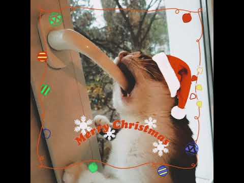 Fluor Tomi - Gecigránát! (karácsonyi verzió)