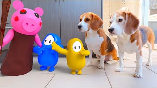 Animations in REAL LIFE vs Funny Dogs 🥳 | Peppa Pig - Fall Guys