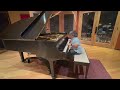 Y M C A Village People Piano Cover