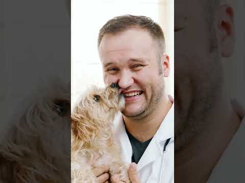 Relieve Your Dog's Ear Infections with ZYMOX! 🐾 #dogearinfections #doghealth #healthypets  #petcare