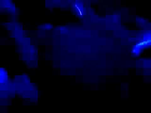 Armada Closing Party 16/09/08 (03)