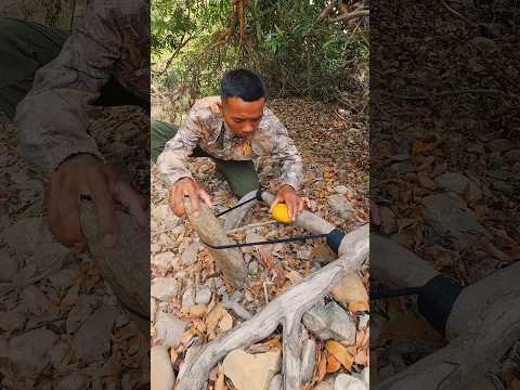 Trap Spectacular #survival #trap #bushcraft