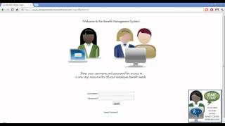 Overview of Login Process