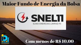 SNEL11 - Maior fundo de energia da bolsa