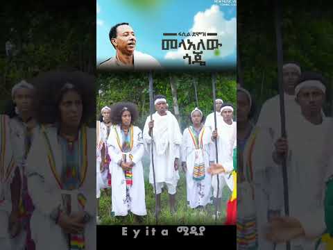 ፋሲል ደሞዝ (መላአለው ጎጄ)