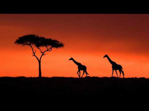 Linda - Language Of Love (Afrikan Roots Remix)