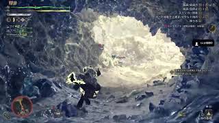 【#モンスターハンターワイルズ】(PS5) {細々とプレイ}
