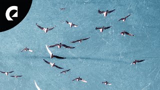 American Legion - Song for Maeve