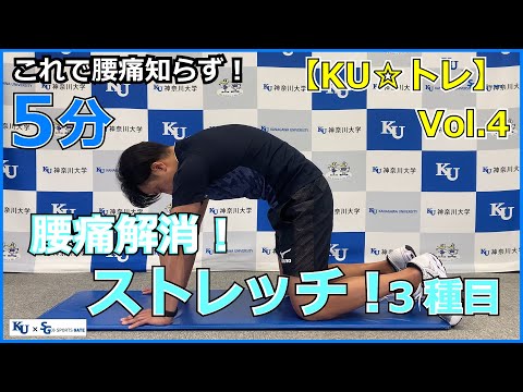 【5分間】腰痛解消ストレッチ！3種目！