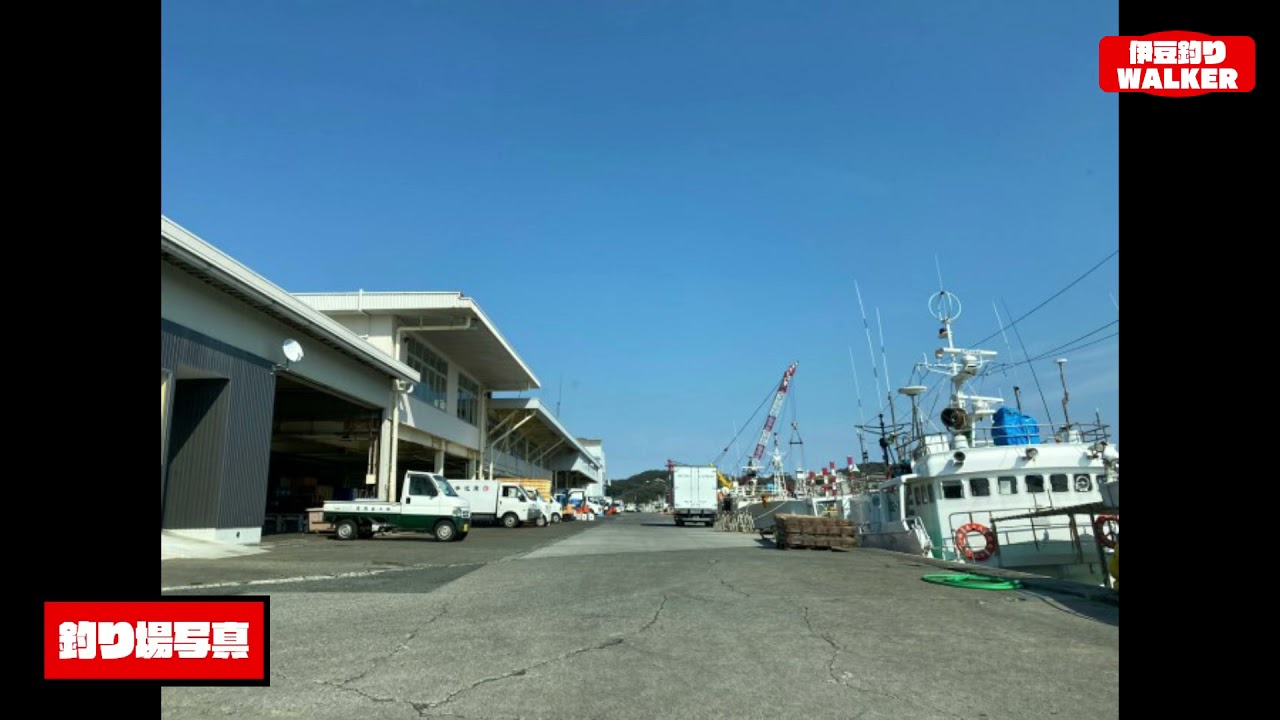 【静岡県下田市】『道の駅 開国下田みなと』周辺の釣り場ガイド