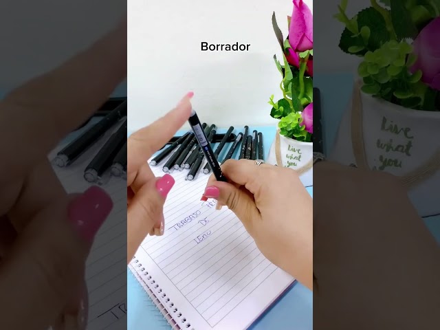 Vídeo relacionado con Mr. Wonderful - Boli borrable Bo-Bo pirata - Pirate life is the best life - Bolígrafo borrable Bo-Bo con un divertido pulpo pirata - Color: amarillo.