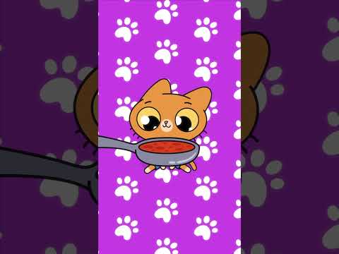 Мммм суп 🥣 #симба #симбочка #симбочкапимпочка