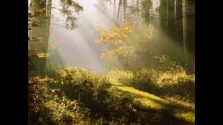 Plus Que Ma Propre Vie - Carter Burwell