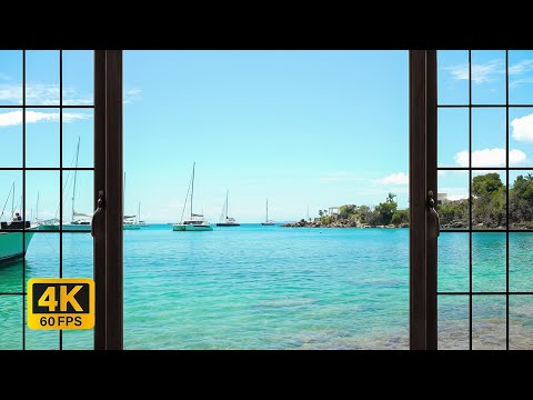 4K Tropical Beach window view in the Caribbean - Palm Trees, Ocean Sounds, Waves, White Noise