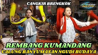 Download lagu CALUNG BANYUMASAN REMBANG KUMANDANG NGUDI BUDAYA CANGKRING BRENGKOK SUSUKAN BANJARNEGARA mp3 Download lagu CALUNG BANYUMASAN REMBANG KUMANDANG NGUDI BUDAYA CANGKRING BRENGKOK SUSUKAN BANJARNEGARA mp3