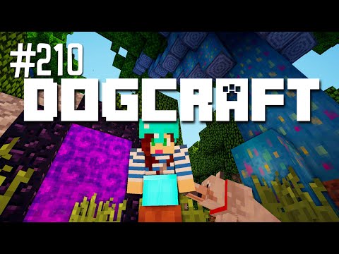 A Nether Idea | Dogcraft (Ep.210)