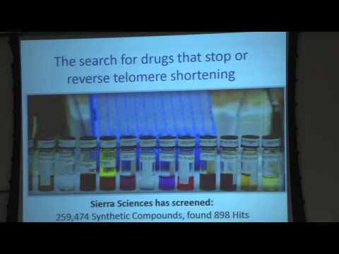 Telomeres, Telomerase, and Aging