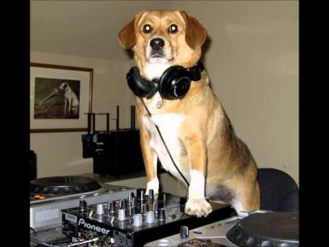 Katy Perry feat. Juicy - Dark Horse (DJ Huumekoirajere remix)