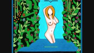 The Vines - Into the Fire