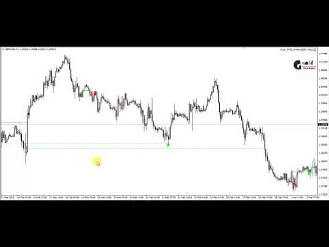 Video Genki Price Action