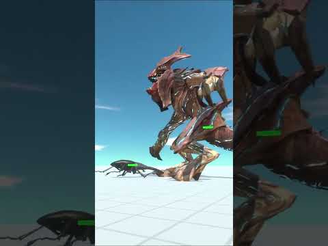 ARBS Shorts｜ Raijin vs Giant Stag Beetle