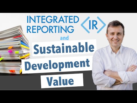 Integrated Reporting: What it Means for Business & Sustainable Development w/ Cornis van der Lugt