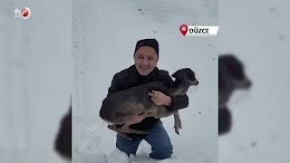 Yaralı Halde Bulunan Yavru Karaca Koruma Altına Alındı