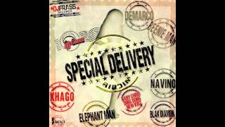 Elephant Man - We Don't Care (Special Delivery Riddim) - Dec 2012 @GazaJaman