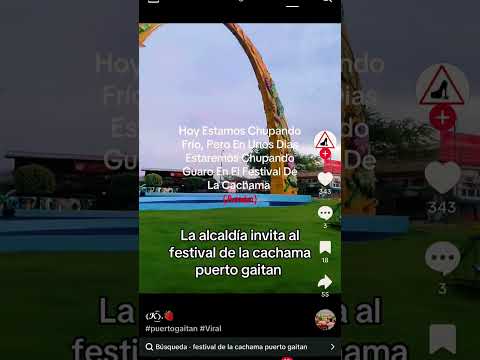 Puerto gaitan