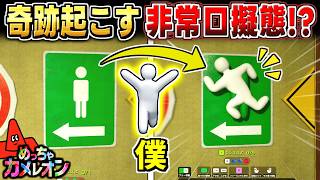 【めっちゃカメレオン】非常口マークに擬態したら奇跡起きたかくれんぼ回!?