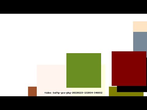 Video #sftp-gcs-pkg-20220223-132034-346832