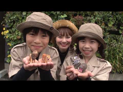 アニア どうぶつくらべっこクイズ！はやさくらべ編【タカラトミーキッズ】 親子で楽しくあんしん | ファミリー | おはなし | 公式 | タカラトミー公式