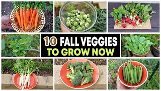 Top 10 Vegetables to grow in Fall &amp; through Winter