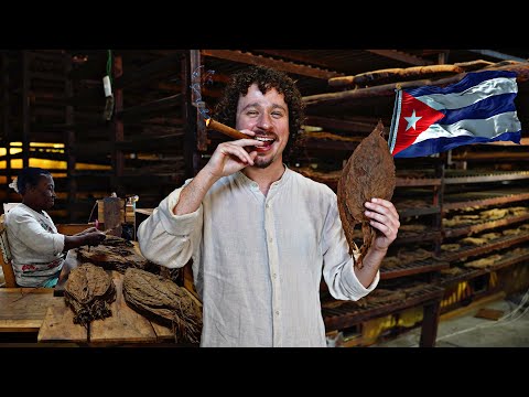 I walked into a cigar factory in Cuba: the best cigar in the world? 🇨🇺