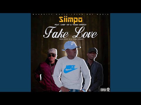 Fake Love (feat. Chef 187 & Tonny Breezy)