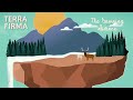 Terra Firma: The Damning Silence