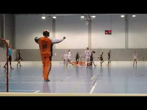 Highlights Saalebiber - TU Dresden