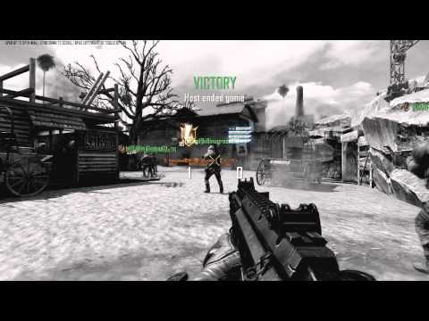 Human or Bot? Black ops 2 modding