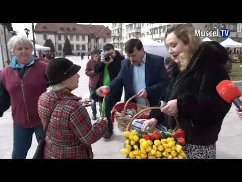 Jurnal MUSCEL TV 08.03.2023 Flori pentru doamne și domnișoare de la Primăria Câmpulung