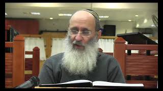 פרשת וישלח | כל האומר ראובן חטא אינו אלא טועה (עין איה) – הרב אורי שרקי