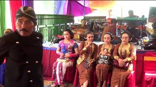 Download lagu Mugi Rahayu Tayub Jok Tolak Sengkolo - Duta Nada Pacitan Terbaru mp3