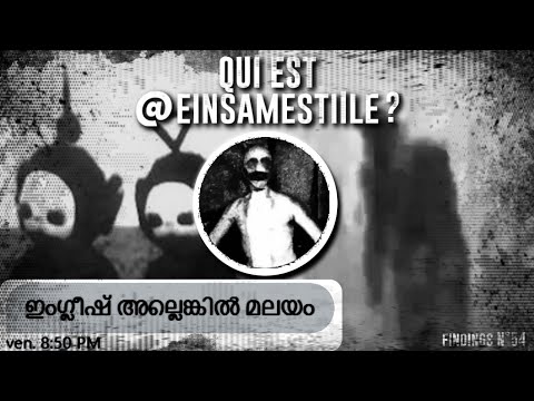 Le compte qui EFFRAIE TWITTER - Qui est @einsamestiIle - Findings N°54