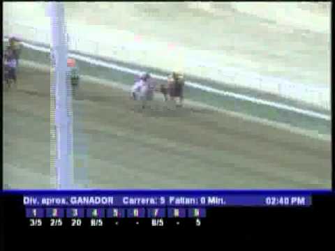 Resumen, Sabado 10 de Marzo de 2012 -La Rinconada