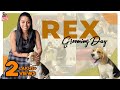 REX Grooming Day ️ Cutz To Cuddles Gayathri Yuvraaj Gayathri From Aminjikarai