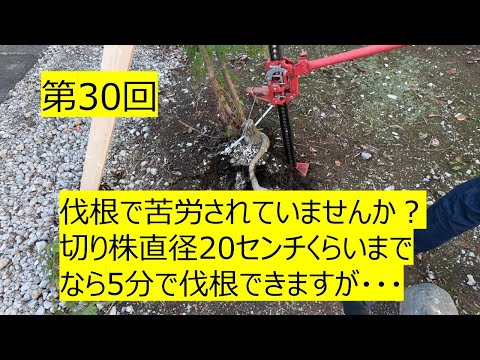 なぜ庭に硫黄を使うのですか？欠かせない4つの美徳  庭園