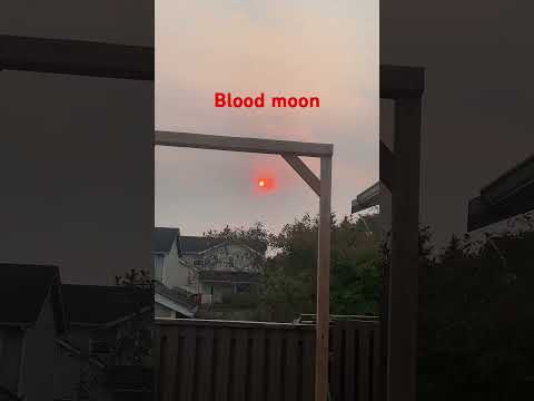 The blood moon returns 😆 ￼