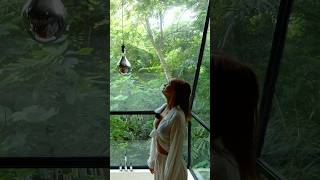 It’s crazy how many cool things we discovered in this house?