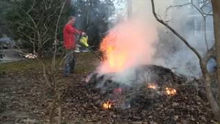 How To Burn Wet Leaves