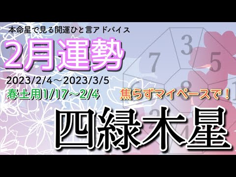 【2023年2月】焦らず進む！マイペースで大丈夫🌈✨四緑木星のバイオリズムと対策